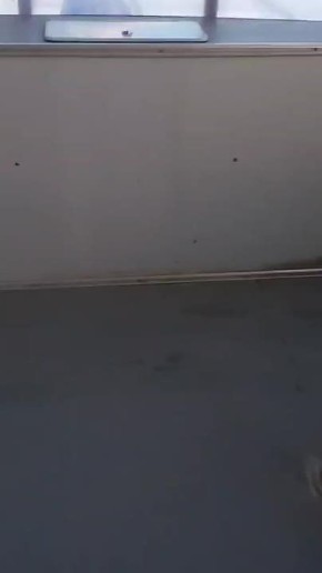 � ������ �� ����� ����� ���������-�������� �� �������