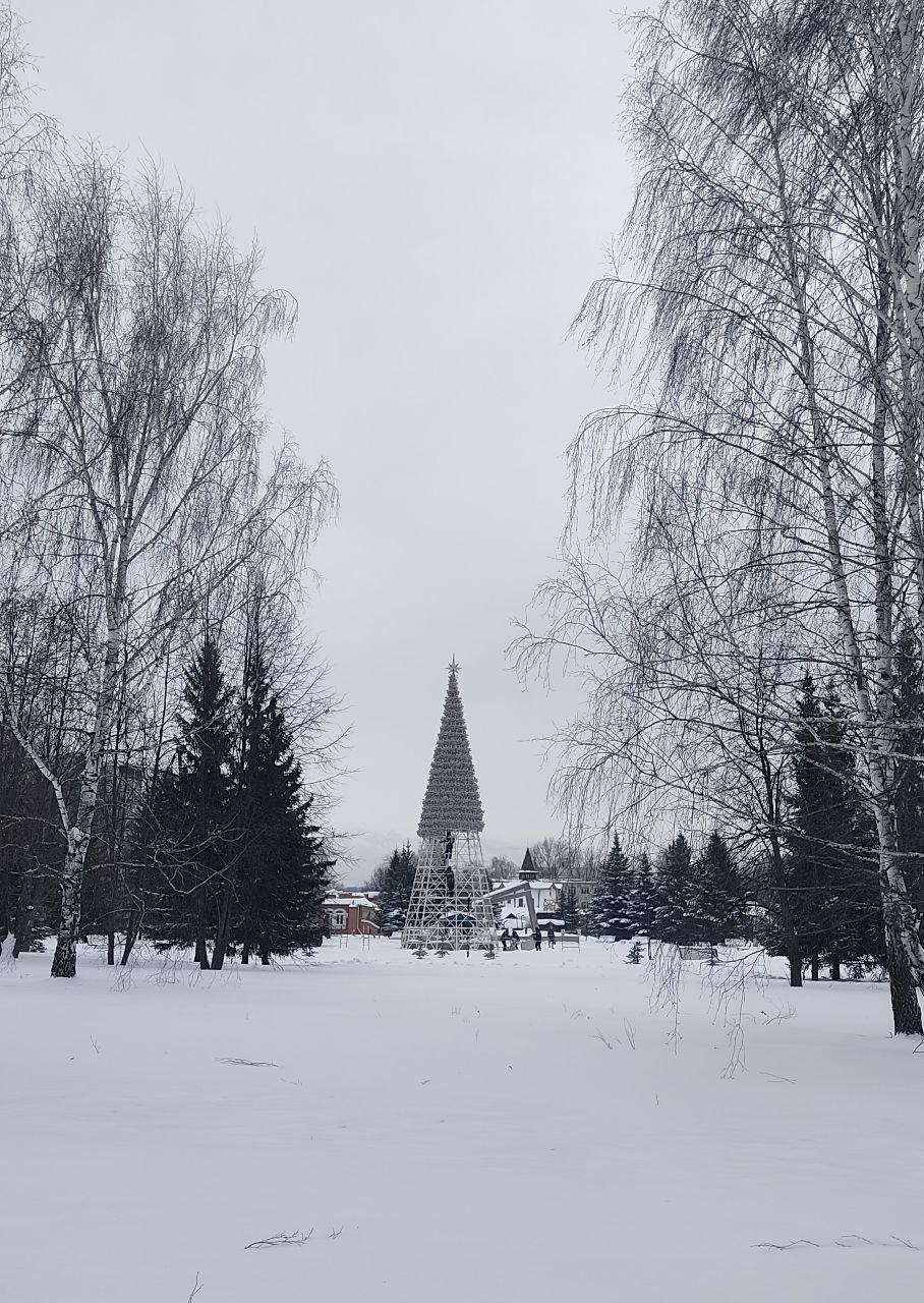 Кажется, праздники точно закончились: начали разбирать лки