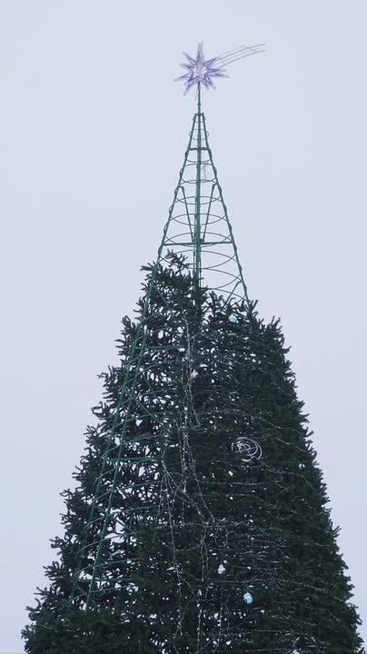 ������� ���� ��� ����������