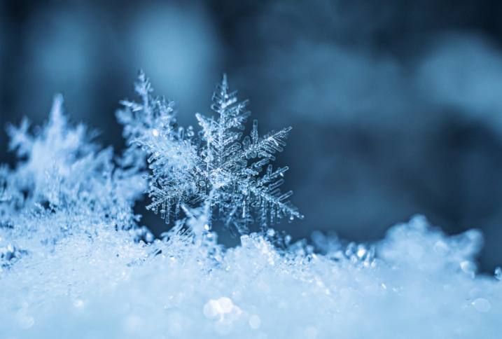 � ���������� ���� ��������������� �������� ������� � �������� ��������� � ������������ ��������� � � ����� ����������� ������������ ��������� �������� ������� ��������� ����������� ��� �������� ��������� � ���������...