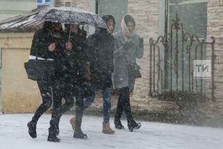 29 ������ � ����������: ������� ����, ������ � ������