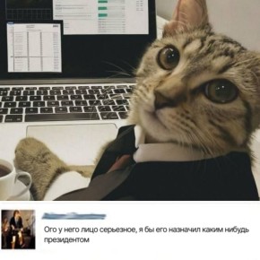 �����������, ���� � ��� ������������ ��������: �������, �������