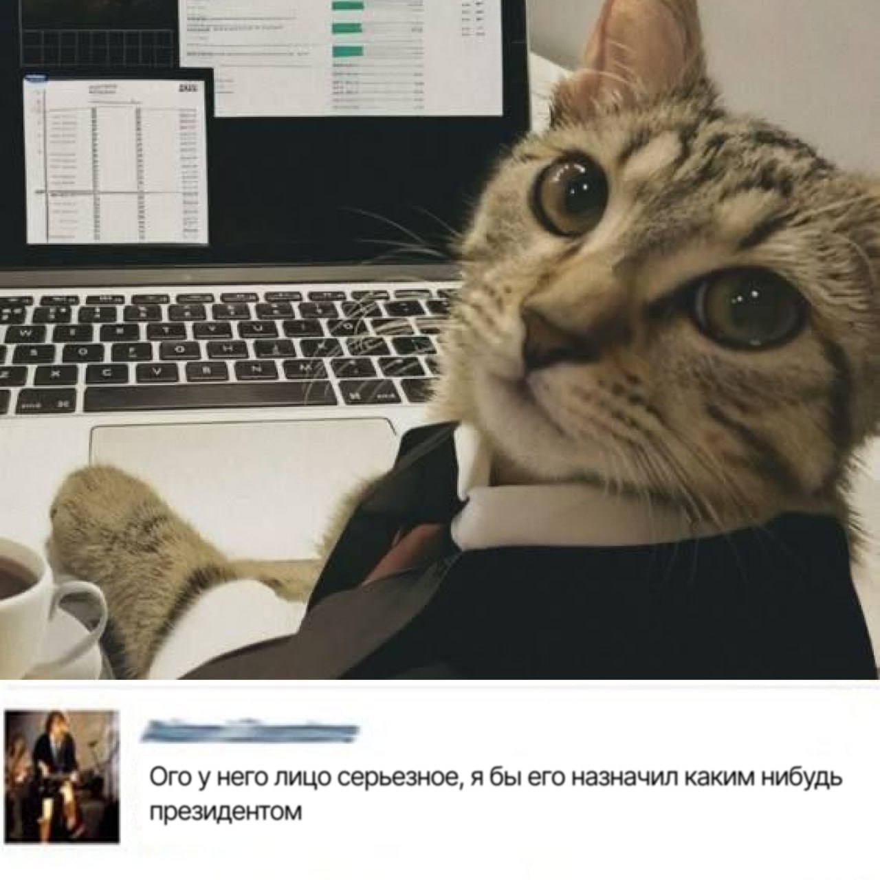 «Посмотрите, кого у нас президентами выбирают: комиков, актеров»