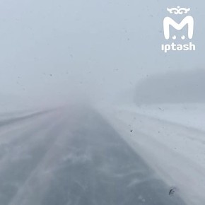 ���� ����� �� ������ ������ � �����