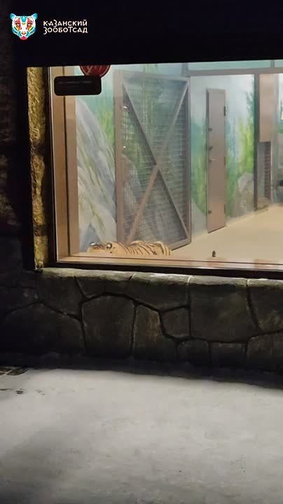 ����� ����� � ����� ��������� �������� � ����� ��������� � ����