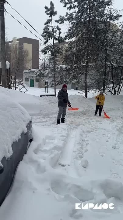 �������� � �� �����. ������ ����� ���� �� ������ �� ������� � ���������, �� � �� ���������� ����������� �� ����� ������