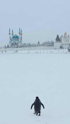 Рустам Минниханов: Всё равно на работу пойду…