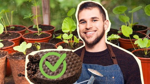 ����� ������� ������� ���������� �������� ���� ��� �������: �� ������ ��� ���������