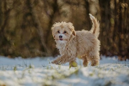 ��� ��������� ������� ������ ������� ��������: ������ �� ��������