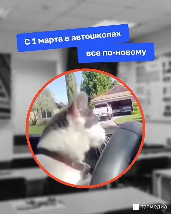 ������ ������ � ������ ��������: ��� ��������� � ���������� ����������