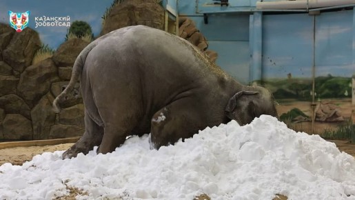 ���� ������� � �������� �� �����!