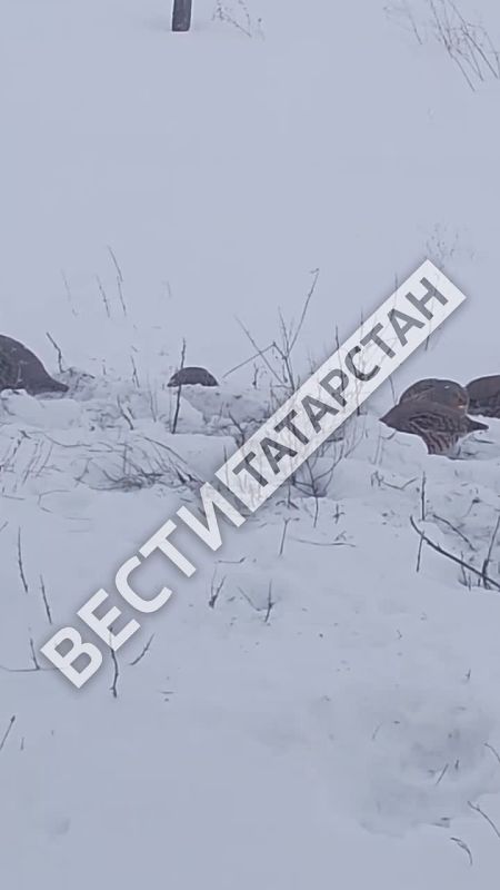 ��������� �������� ��������� ������ ��� ����� � ������