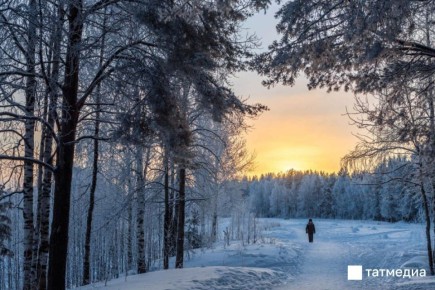 � ������ ��������� ��������� �� ��������, ����� ������ ������