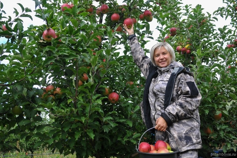 Как фермер из Тамбовщины создает поэзию садоводства