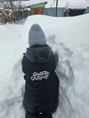 ������ �����. ������� ���������� ������� ������ �������� �������� ������� ������� �������� � ����� � ������������� � ������� ����� �� ���������� �����������