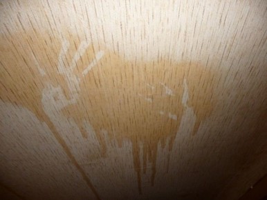 Коричневые пятна на обоях: откуда берутся и как с ними бороться