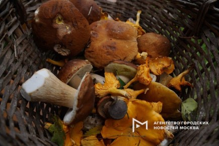 ������� ��� �������� ��������� ������