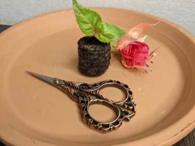 ��� ������� ��������� ������ ��� �������� � �� ������