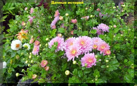 ��� ������ ������ ��� ������� � ����� �� ����������� ������