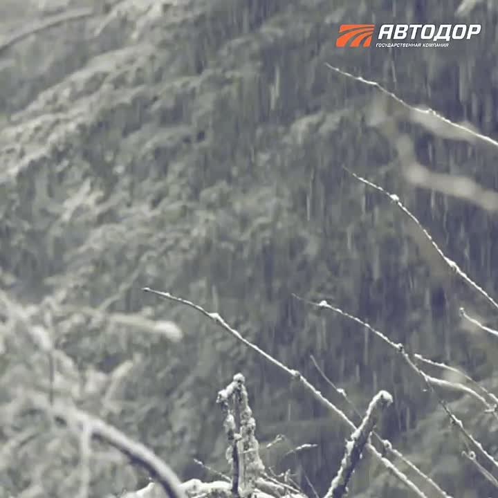 Внимание, водители! Ухудшение погодных условий