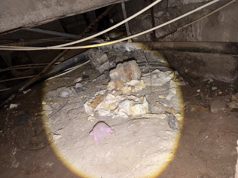 � ������ ��������� �� ����������� �� ��������� ��������� ���� �� �����������