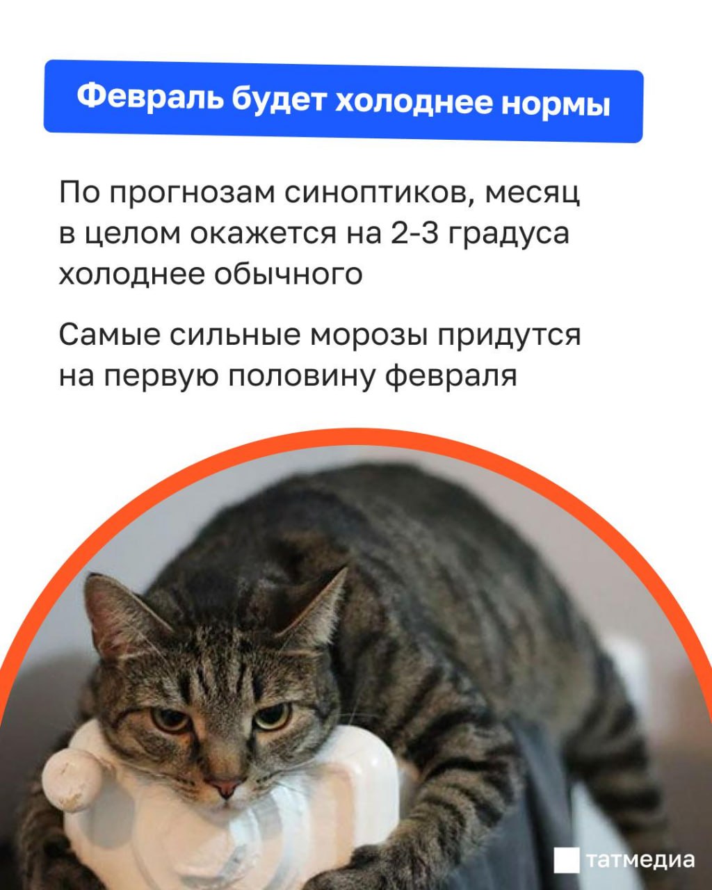 После снегопадов – резкое похолодание: погода в феврале После снегопадов – резкое похолодание: погода в феврале