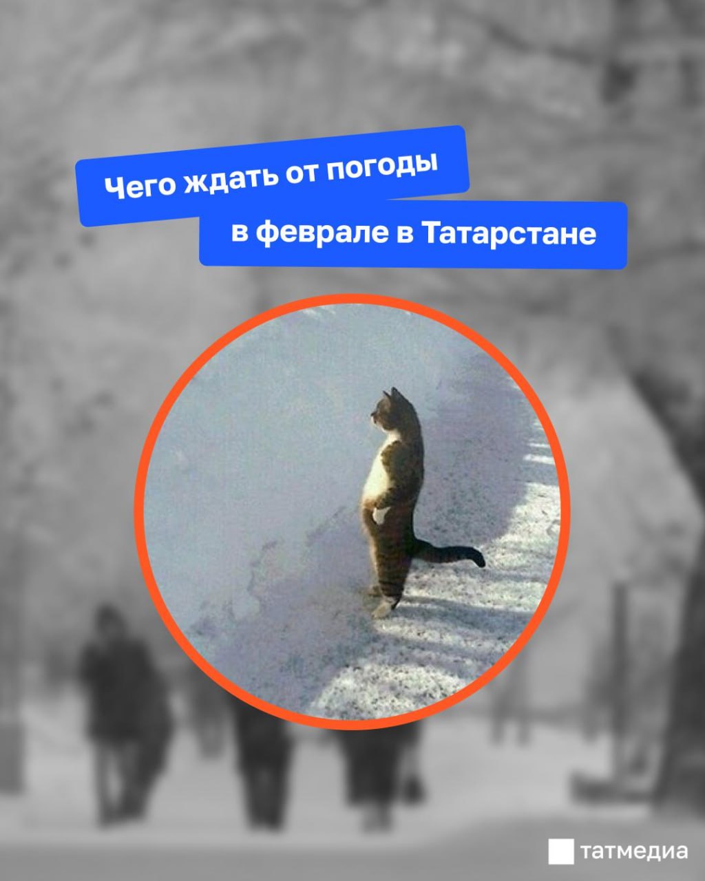 После снегопадов – резкое похолодание: погода в феврале