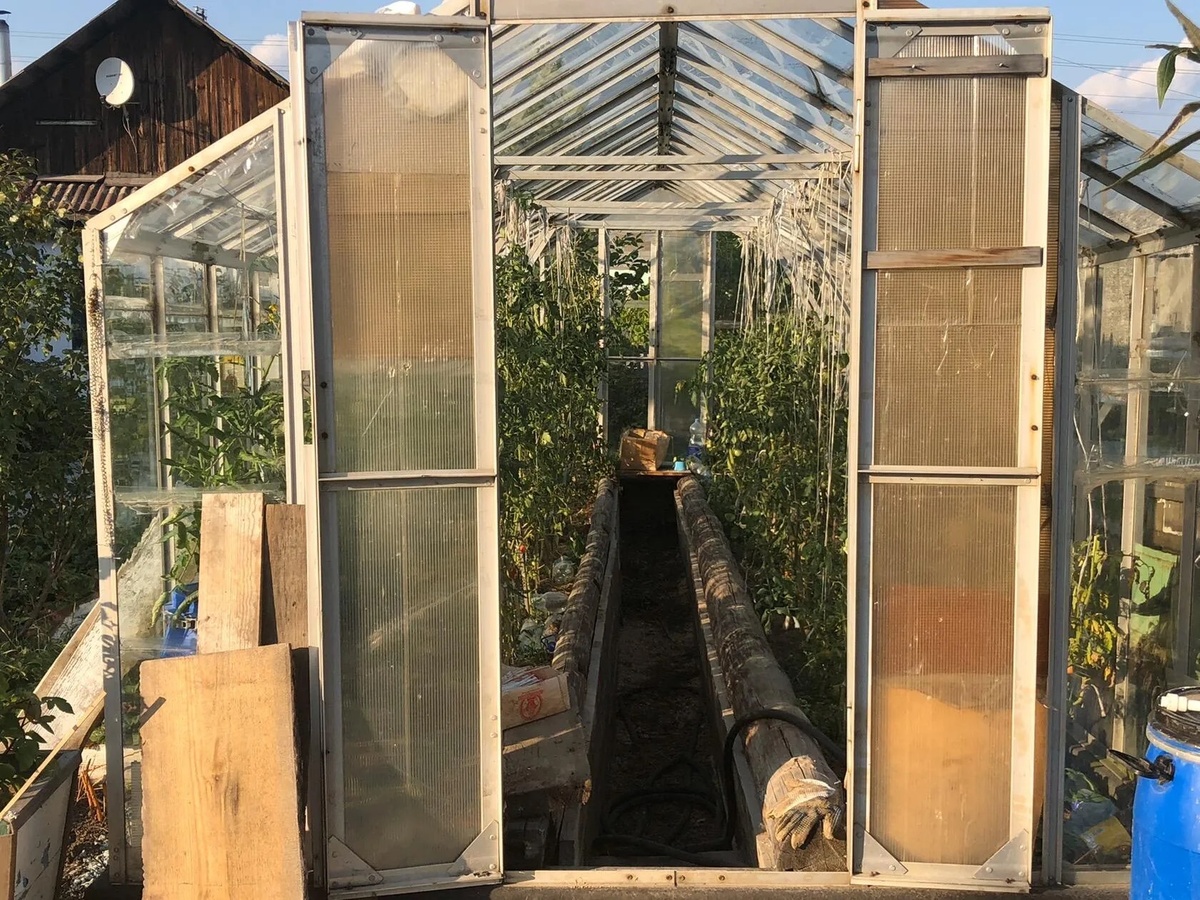 Эффективные способы дезинфекции теплицы осенью для защиты от фитофторы