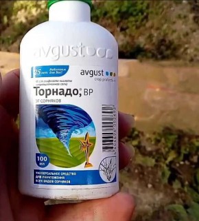 ���������: ���� � ��������� ������ ��� ������ ��� �������?