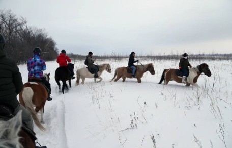 � ������� ���� ��������� ������� �������� ����� ���� ��� ��������