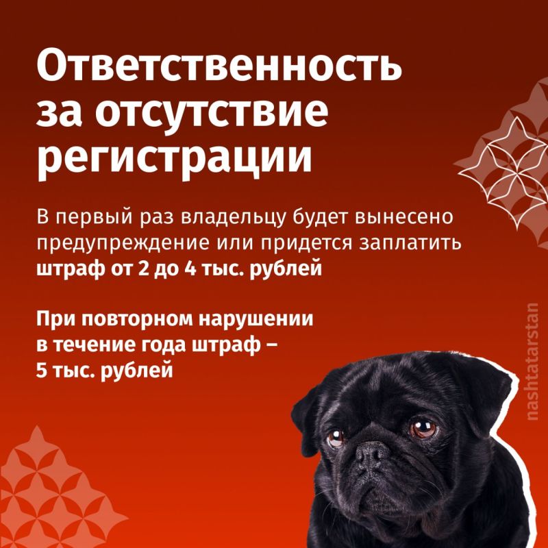 � ���������� ������������ ����������� �����