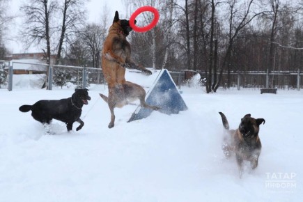 ������ ���������� � ����������� ���������� � ����������� MAX ��������� � �������� ������������ ����������� �������� �����