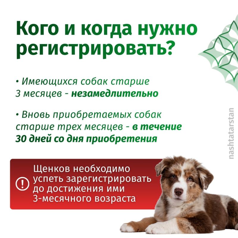 � ���������� ������������ ����������� �����