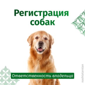 � ���������� ������������ ����������� �����