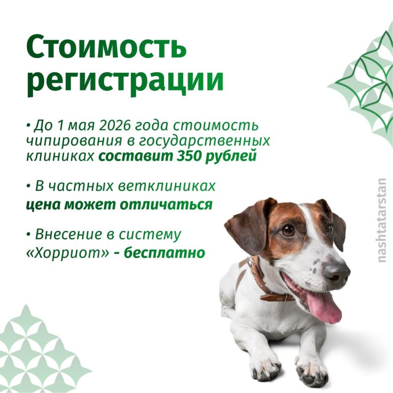 � ���������� ������������ ����������� �����