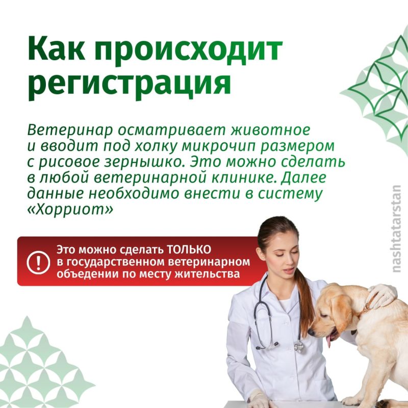 � ���������� ������������ ����������� �����