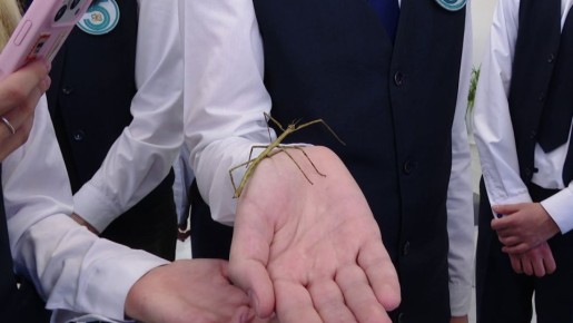 ������� ��� �������� 35-�� ����� ������� ����-��������� � ������� �������-������������� ������