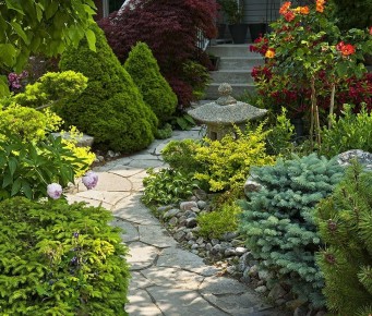 ��������� ������������ �������: �������� �������� ����������