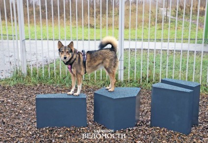 ������ � ��������, ������� ����� ������ ������