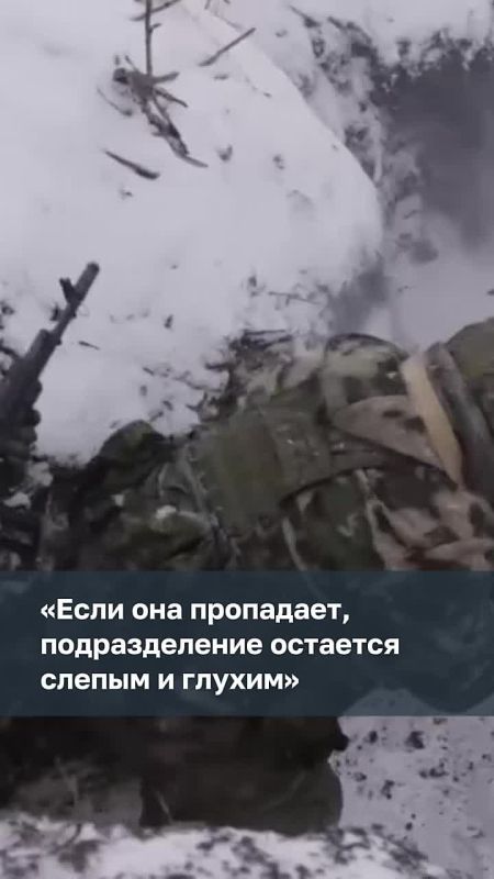 ������ �� ��� ���� ��������: ������� �����-�������� �� ����������