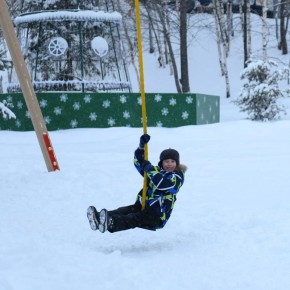 ������ ������ ������� ������ 2026 ���� �������� � ����� � ������ � ������ ��������