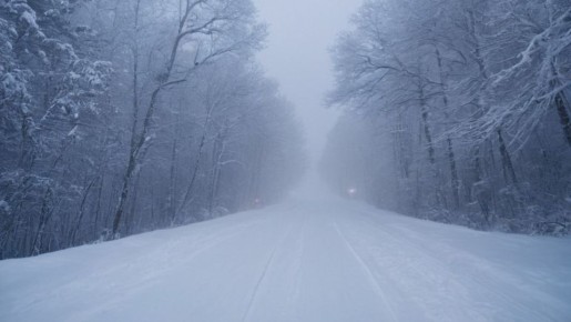 � ��� ������������ � ��������� ������������ �������� � ��� �������� ��-�� ��������