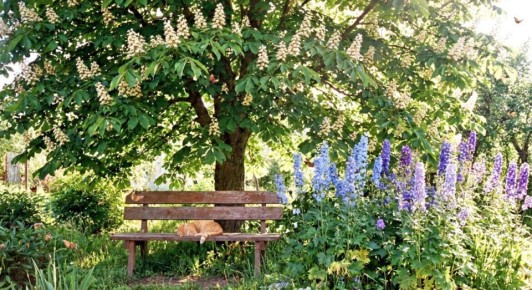 ���������� ��������. ������ - ��������, ����� � ������� ��������, ��� ����� ������� ����� � ��������� � �� ������ ���������� ���