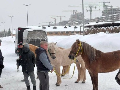 ��������� �������� ������� � ���� ���