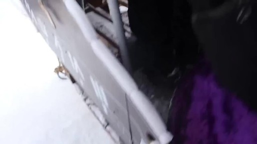 ������� ������������ ����� ����������� ����� ������� ��������� ���������� ����� Sunny Fest, ������� ������ 7 ������� � ��������