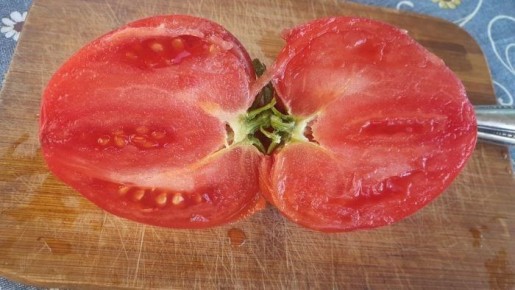 ����� ������ ��������: ��������� ��������� � ������� ������� ������