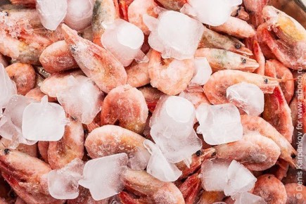 ������� ��������� ������������ ��������: �� ������ �� �������������