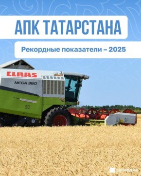 �� �������, 12 �������. � ������ ������ �������� �������� ����������� ��. ����� ������� ����������� ���� ���������� ������ ����� �� 10 ������������������ ����������� � �������� ��������������� ������� ����