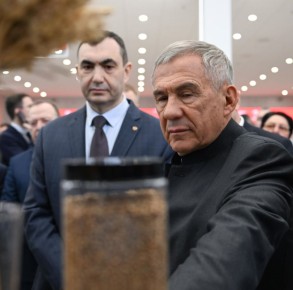 ������ ���������� �������� ��������������� ������� ����