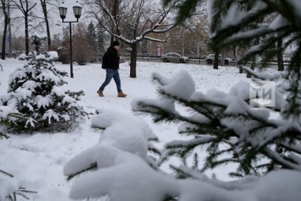 ������ � ���������� �� 14 �������: ����, �����, ����� � ������ ����� ������ ���������